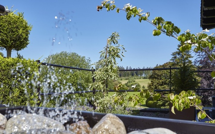 Aussicht Dachgarten Hotel Jagdhaus Wiese min