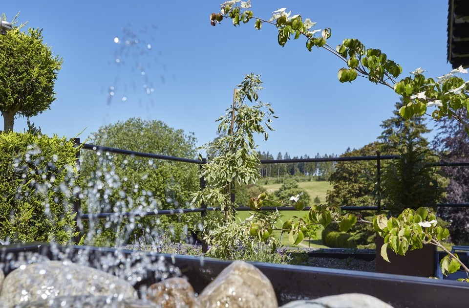 Aussicht Dachgarten Hotel Jagdhaus Wiese min