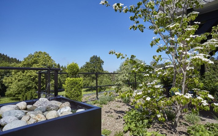 Der Dachgarten im Urlaubshotel Jagdhaus Wiese im Sauerland verfügt über ein beruhigendes Wasserspiel.