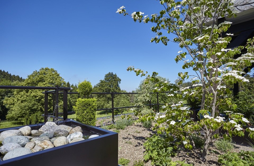Der Dachgarten im Urlaubshotel Jagdhaus Wiese im Sauerland verfügt über ein beruhigendes Wasserspiel.