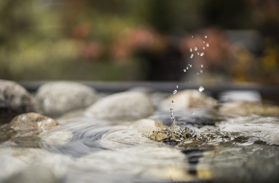 Impression des Wasserspiels im Dachgarten des Urlaubshotels Jagdhaus Wiese im Sauerland