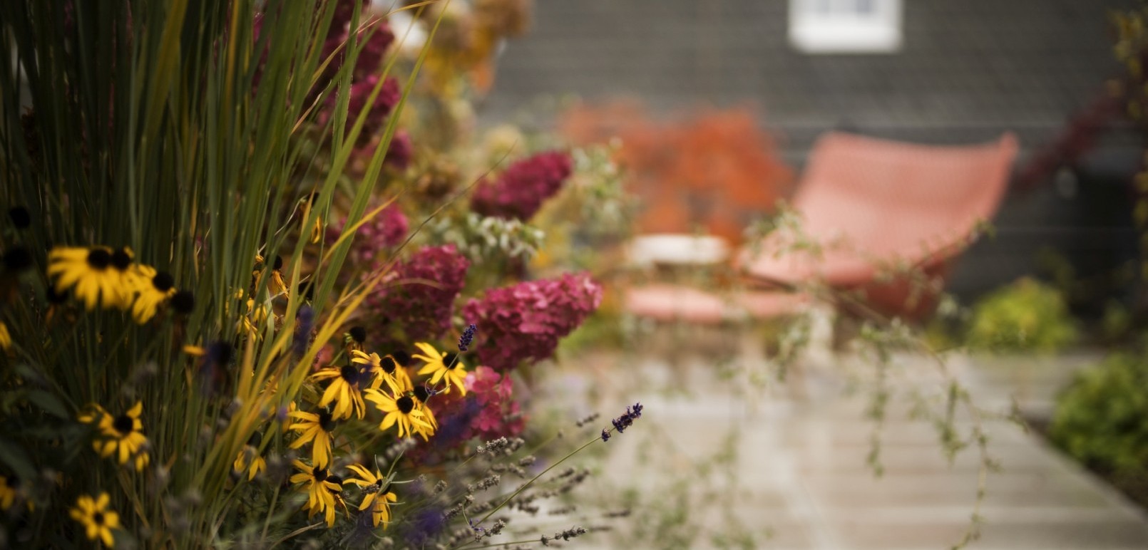 Impression Dachgarten Jagdhaus Wiese min
