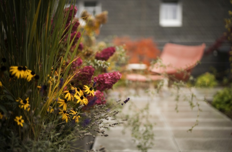 Impression Dachgarten Jagdhaus Wiese min