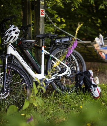 Teile des Rothaarsteigs wie hier bei Jagdhaus lassen sich gut mit dem Mountainbike erkunden.