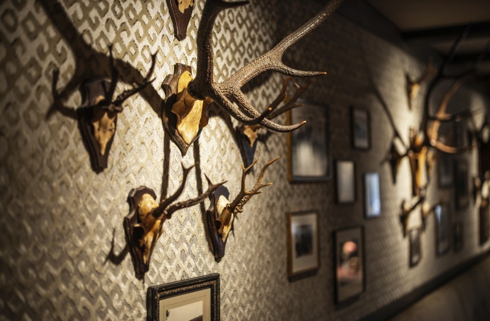 Im Restaurant Jagdstube im Hotel Jagdhaus Wiese in Schmallenberg zieren Jagdtrophäen die Wände