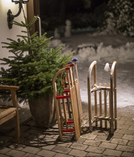 Rodeln und Schlittenfahren können die Gäste des Hotels Jagdhaus Wiese direkt am Hotel mit hoteleigenen Schlitten.