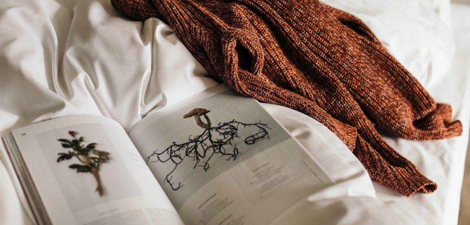 Still life with book and cardigan from a room at the Hotel Jagdhaus Wiese in Sauerland