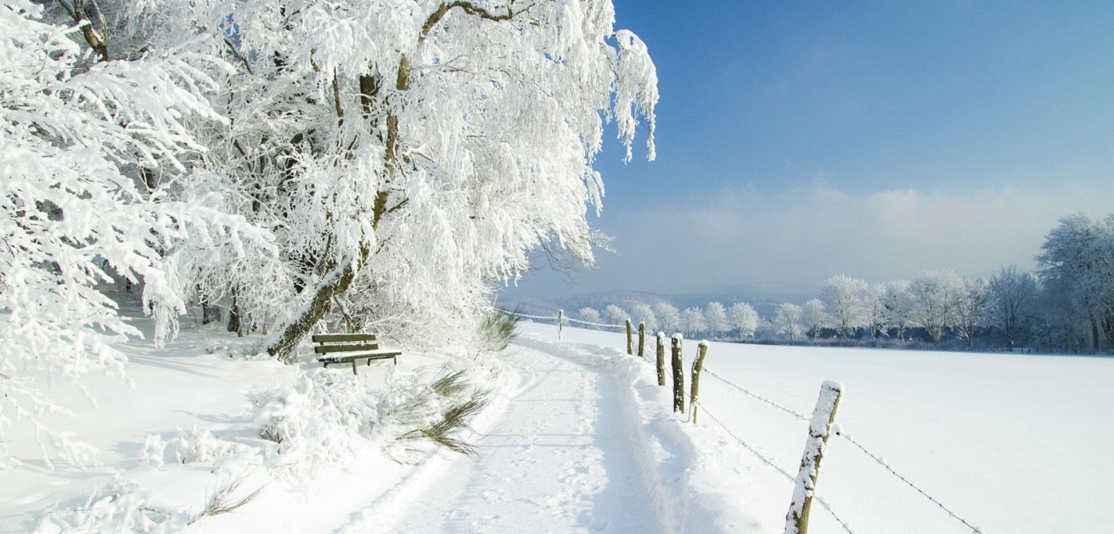 Geräumte Winterwanderwege finden Sie direkt vor der Haustür vom Hotel Jagdhaus Wiese im Sauerland