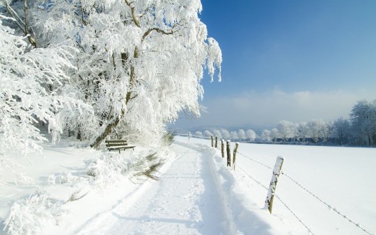Geräumte Winterwanderwege finden Sie direkt vor der Haustür vom Hotel Jagdhaus Wiese im Sauerland