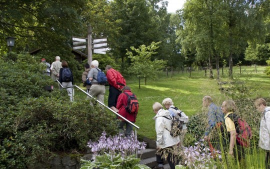 Hiking group on the Rothaarsteig long-distance hiking trail in the Sauerland, which runs directly past the Hotel Jagdhaus Wiese.