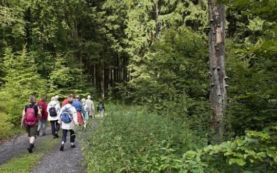 Discover the Sauerland as part of a guided hiking week at the Hotel Jagdhaus Wiese