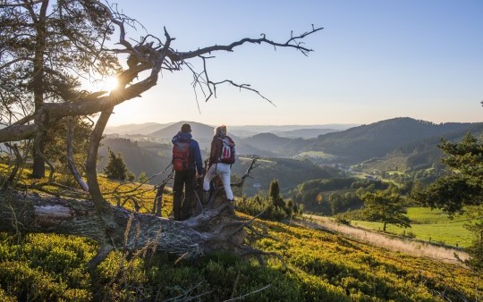 Das Schmallenberger Sauerland und der Rothaarsteig sind ein Wanderparadies direkt vor der Haustür unseres Hotels.