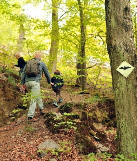 Der Wittgensteiner Schieferpfad ist ein abwechslungsreicher Wanderweg für die ganze Familie.
